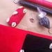 portefeuille magique avis